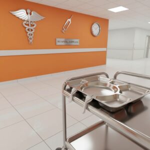 nampan stainless food grade