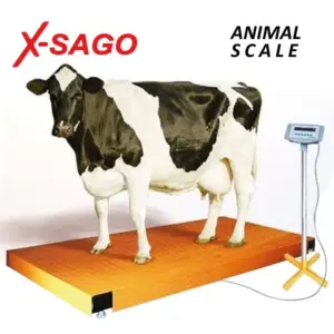 timbangan-sapi_11zon